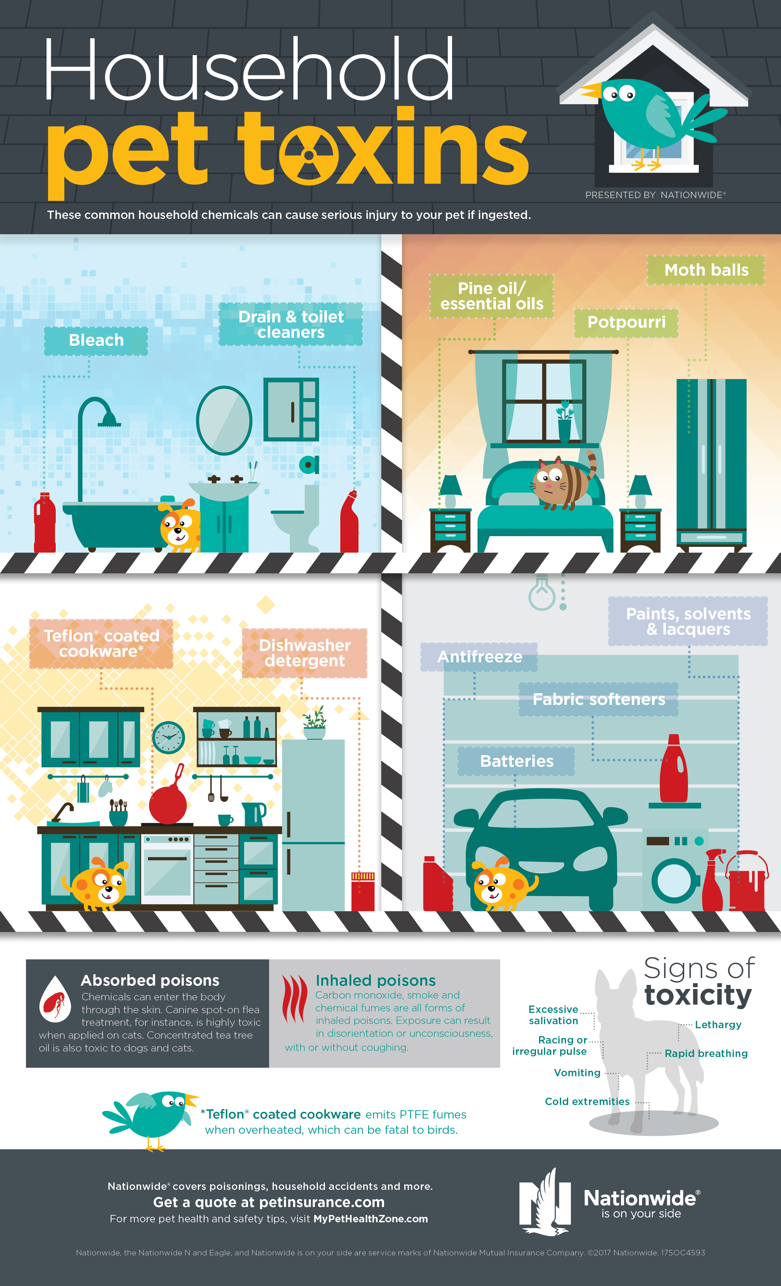 Household items 2025 poisonous to dogs