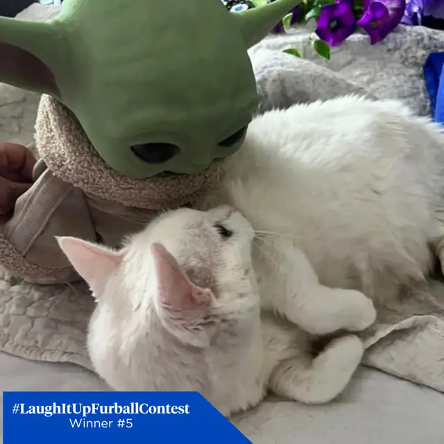 05 Winner FB lalagirlalala