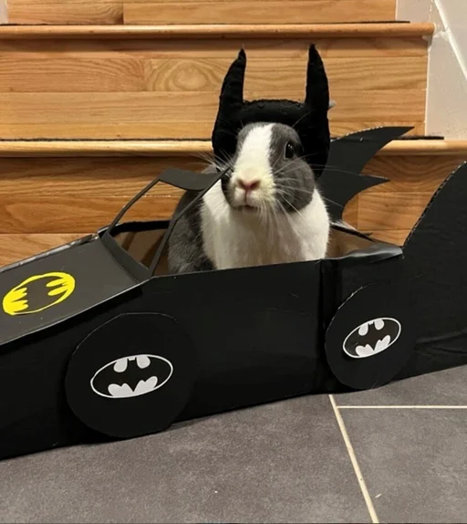 Winner 4 dosathebunny