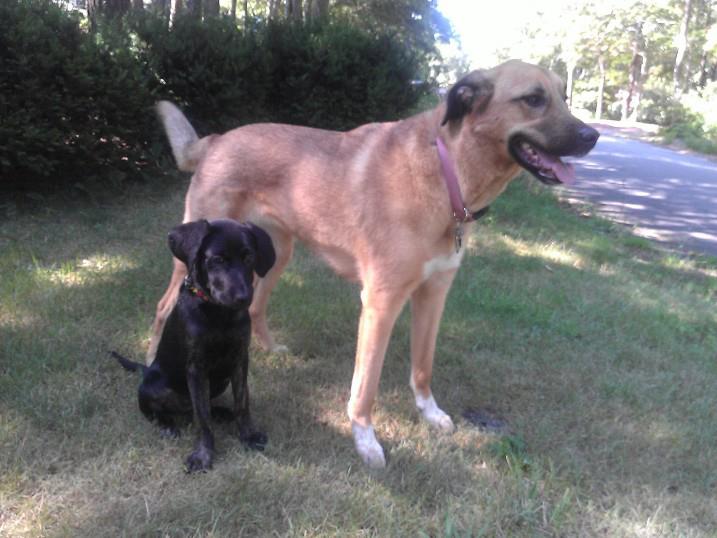 Winnie-and-sister-Daphne1