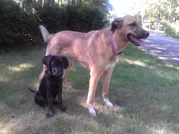 Winnie-and-sister-Daphne1