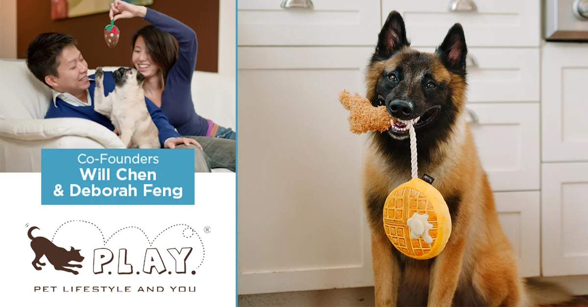 Business Feature - Pet Play-1