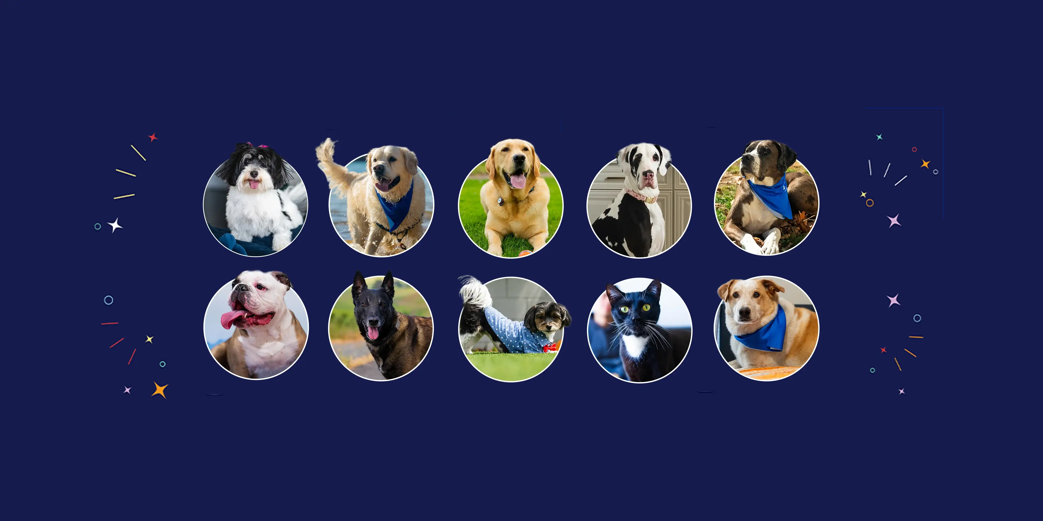 Taking home the bronze