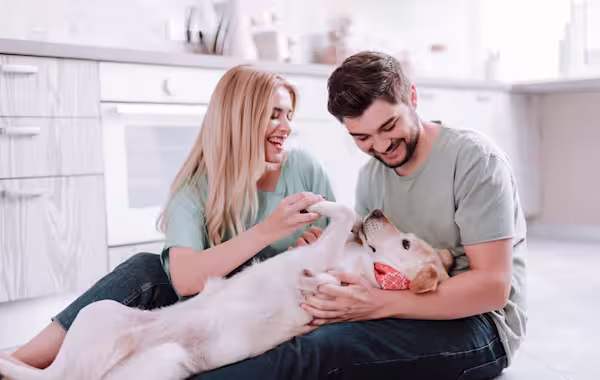 Pet cancer: What you need to know
