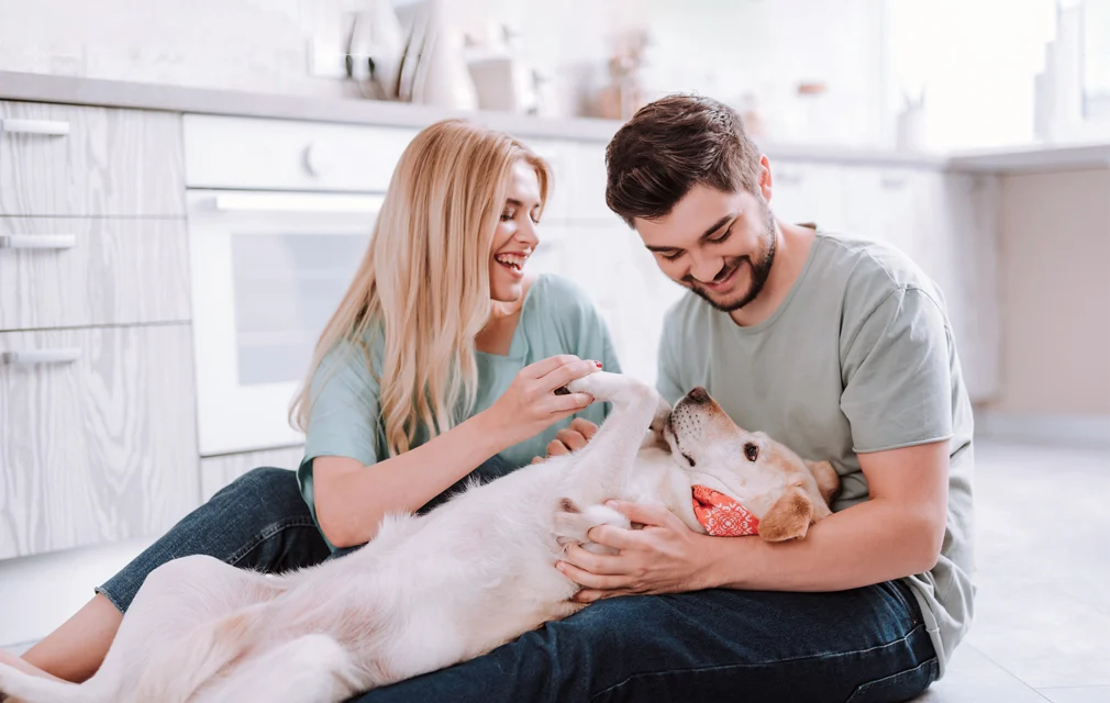 Pet cancer: What you need to know