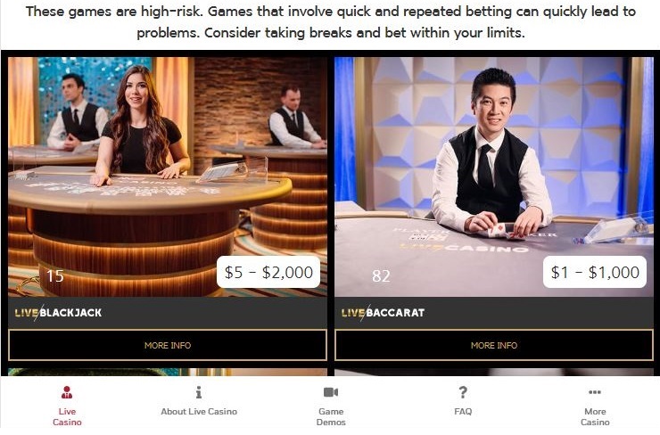 PlayNow Casino Live Dealer Games