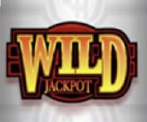Quick Hit slot review - Wild symbol