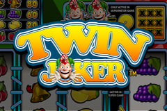 Twin Joker slot game (small)