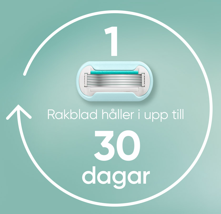 1 rakblad håller i upp till 30 dagar