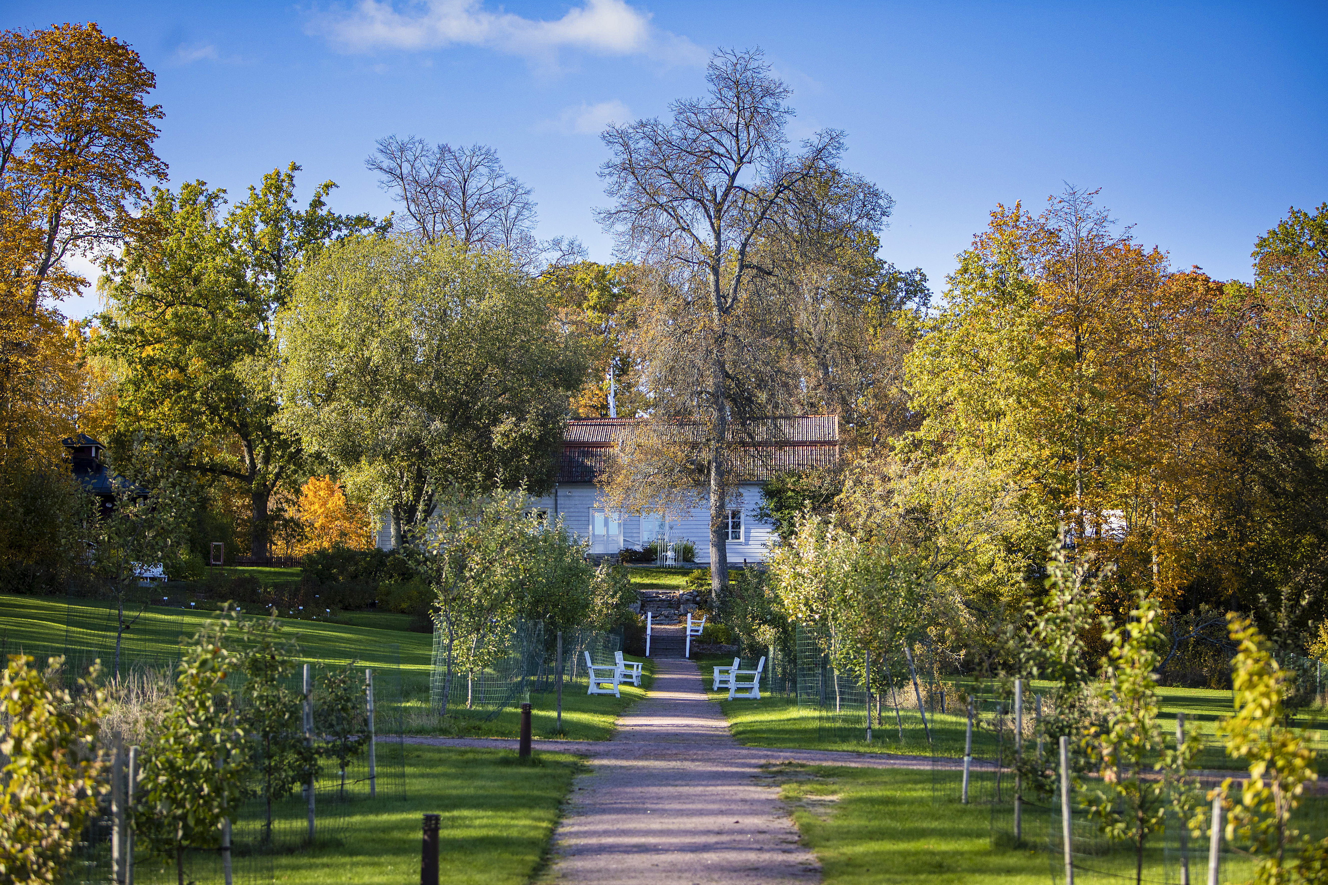Hiekkatie, joka vie valkoiselle talolle.