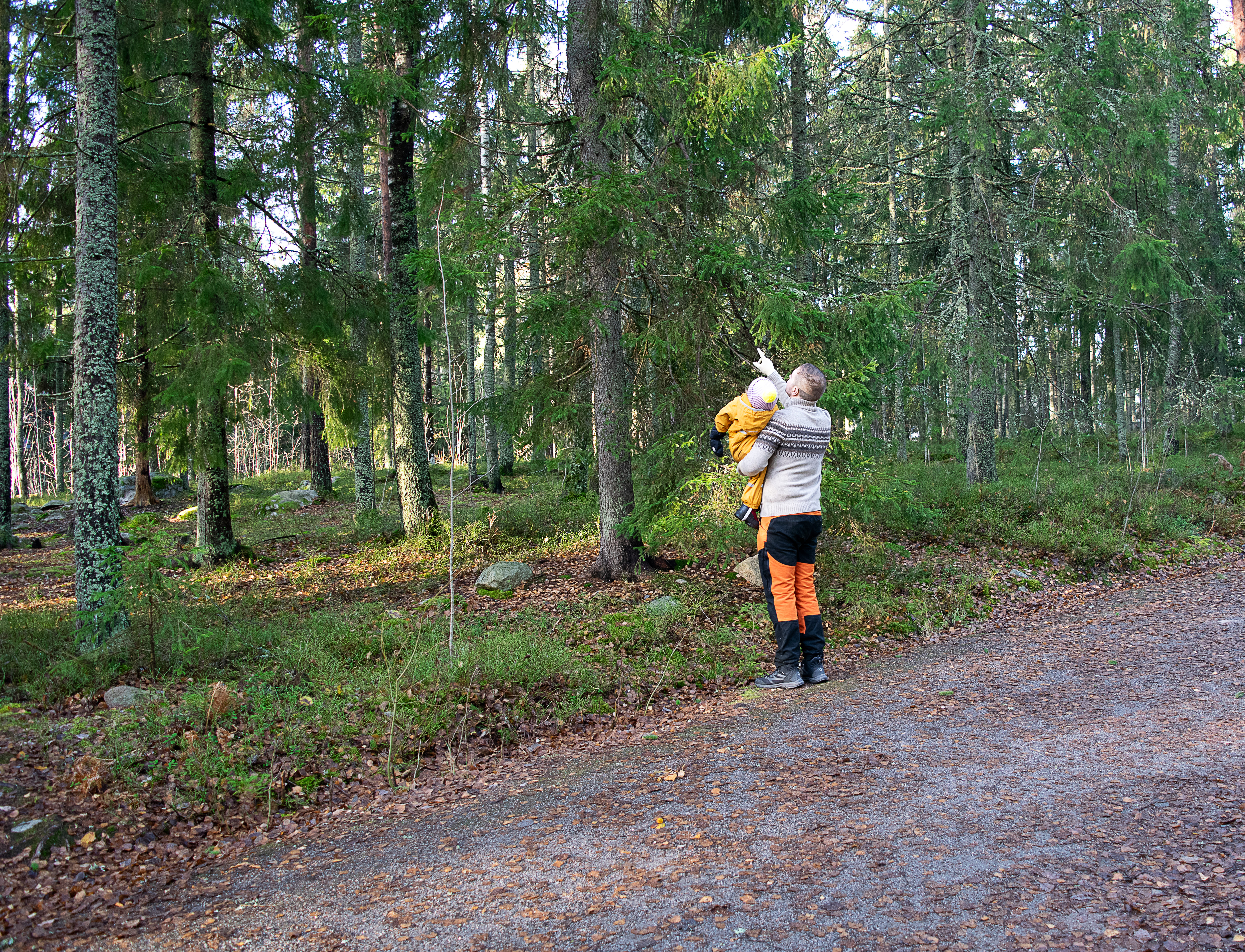 Lauri Lavanti osoittamassa puita lapselle, joka on hänen sylissään.