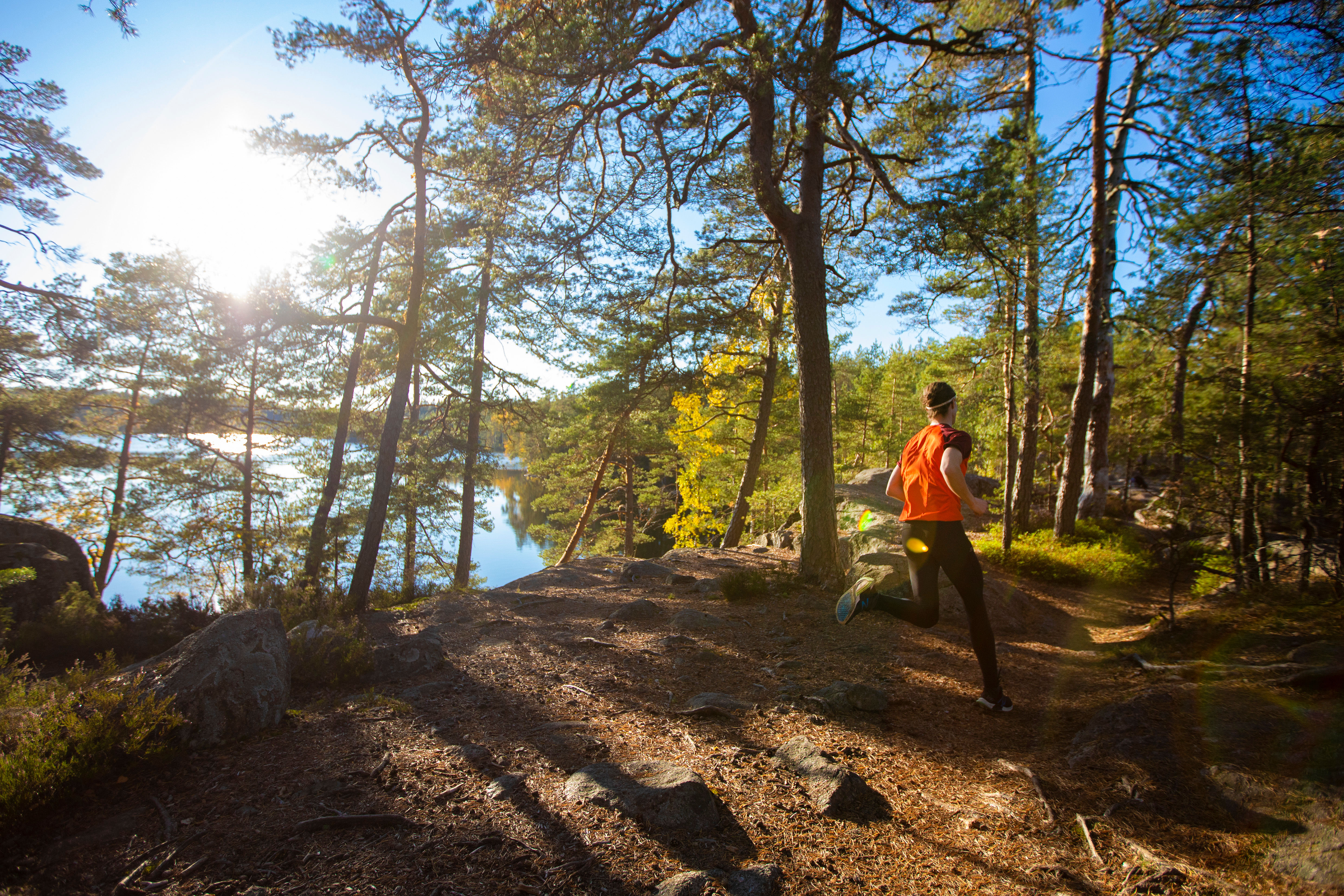 Kuvassa on ihminen juoksemassa metsässä. Taustalla näkyy järvi ja kirkkaana loistava aurinko.