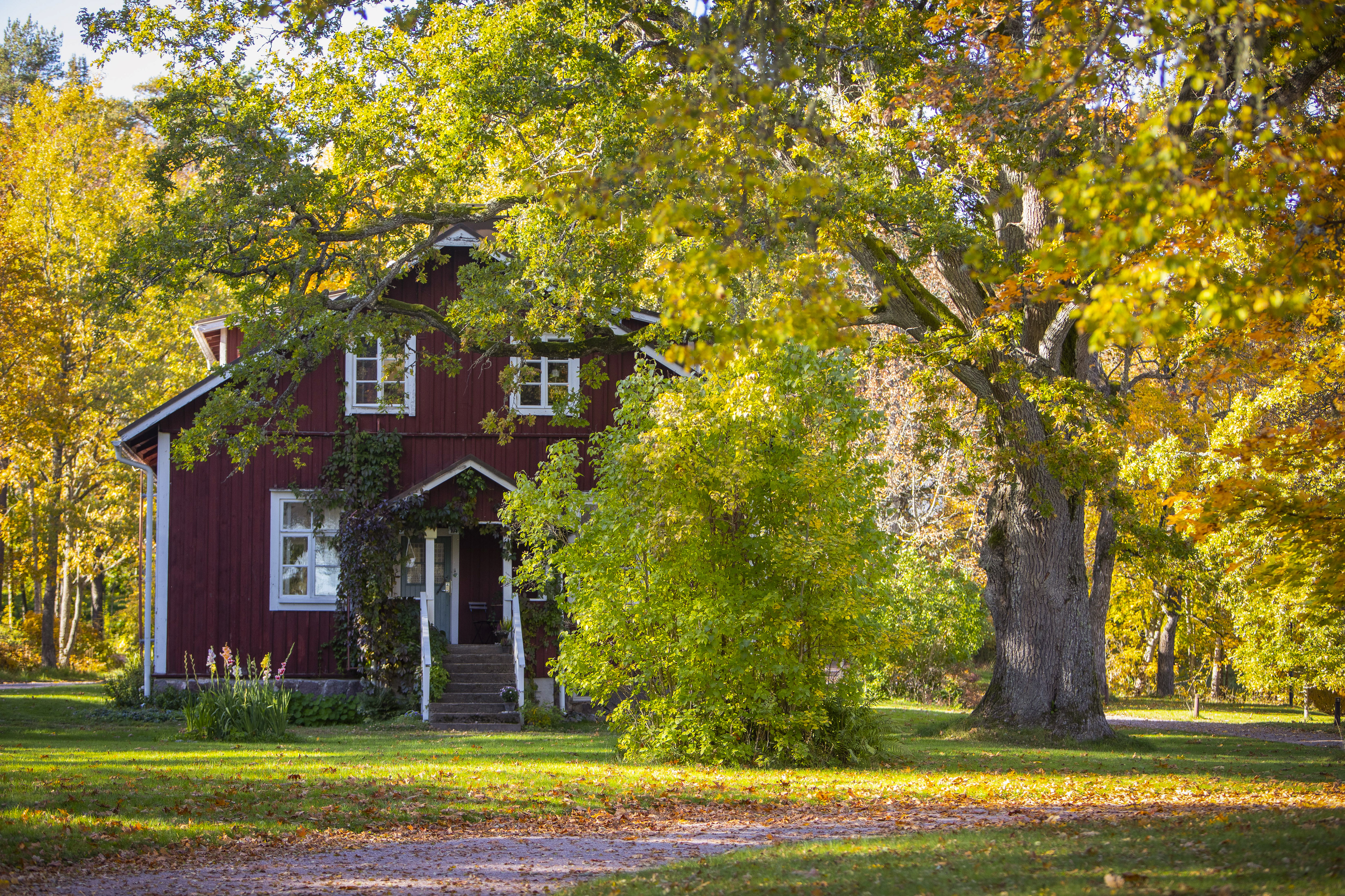 Punainen talo, jonka ympärillä on puita.