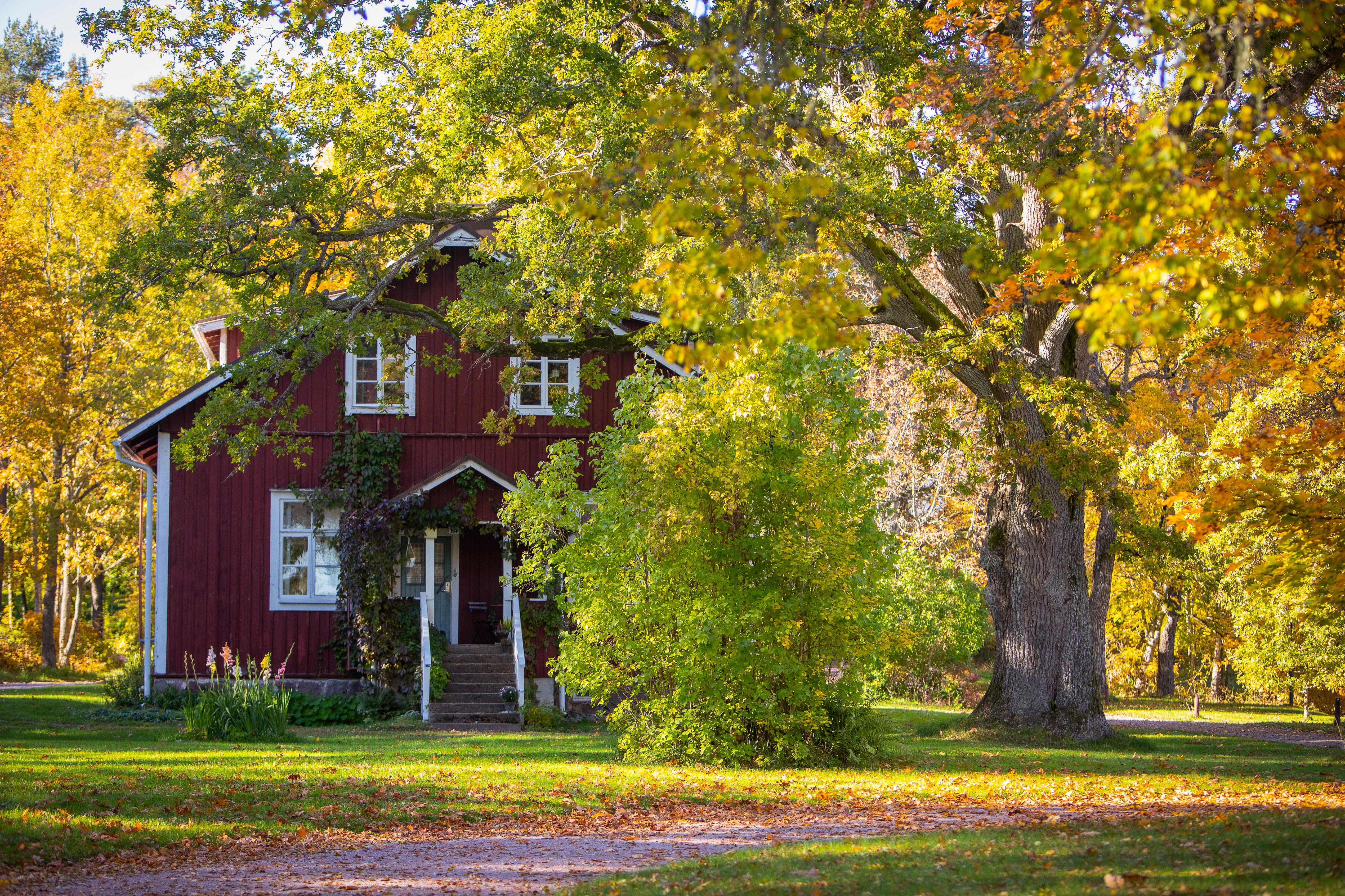 Punainen talo, jonka ympärillä on puita.