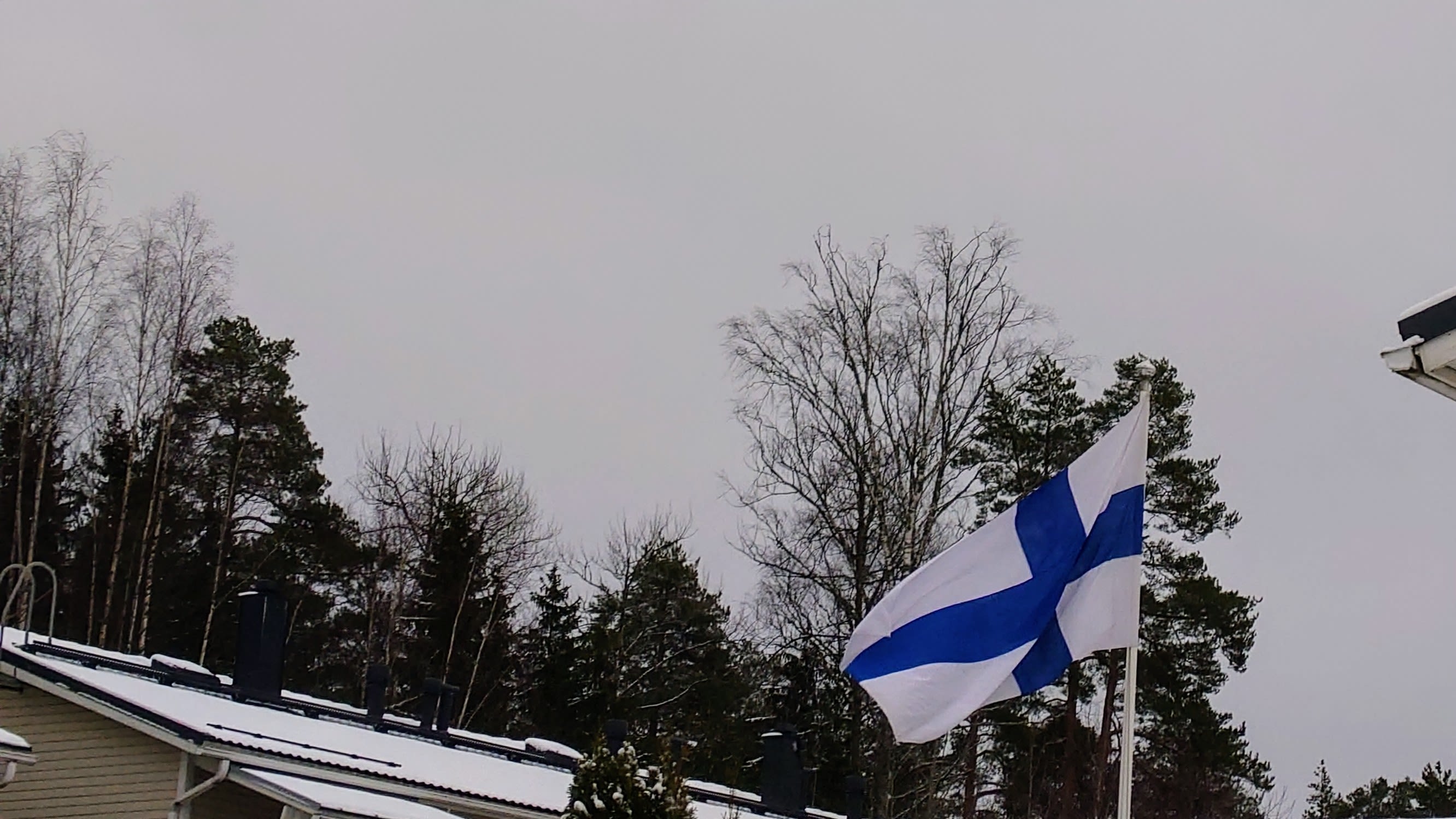 Kuva Suomen lipusta liehumassa lipputangossa