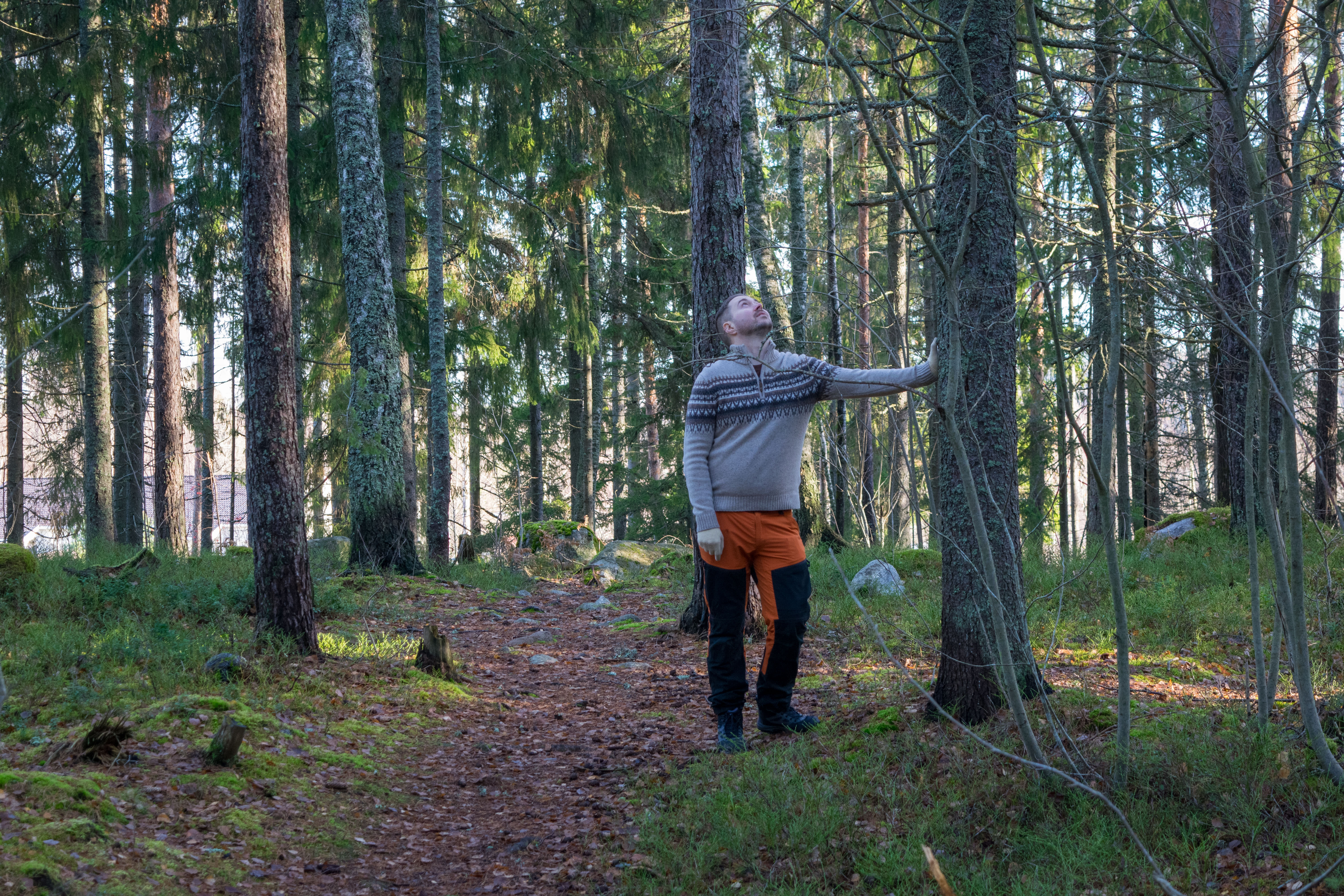 Lauri Lavanti retkeilyvaatteissa metsässä, nojaa puuhun ja katsoo ylös sen runkoa