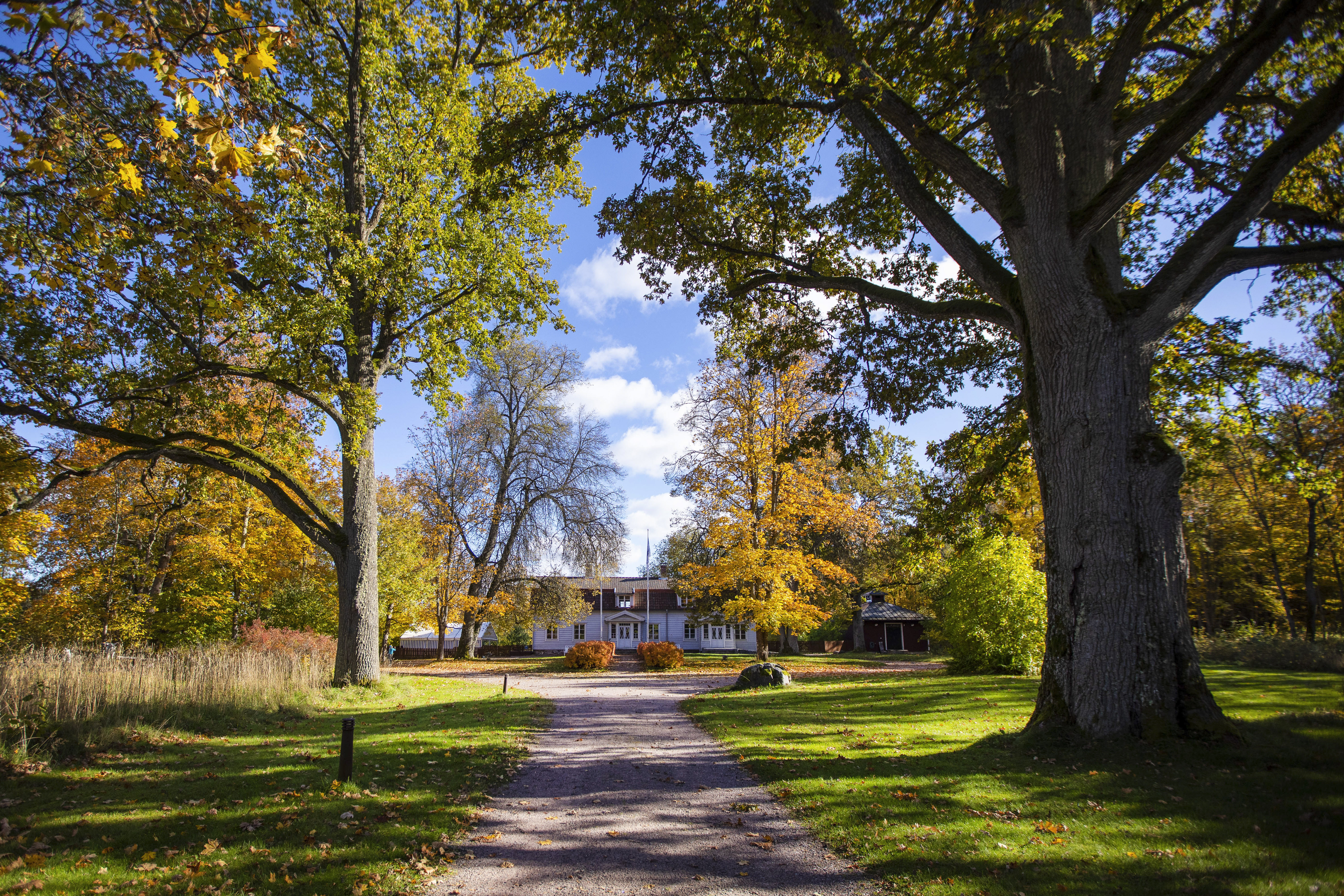 Hiekkatie, joka vie valkoiselle talolle.