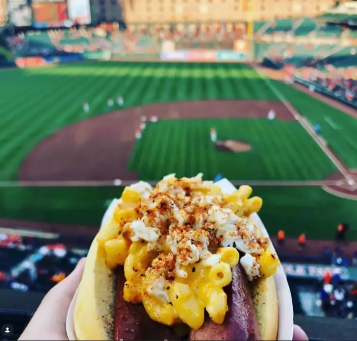 Camden Yards Front Row