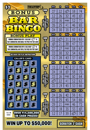 Bonus Especial de Registro de Bingo