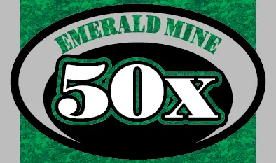 EMERALD MINE 50X $5 Massachusetts scratch-off ticket