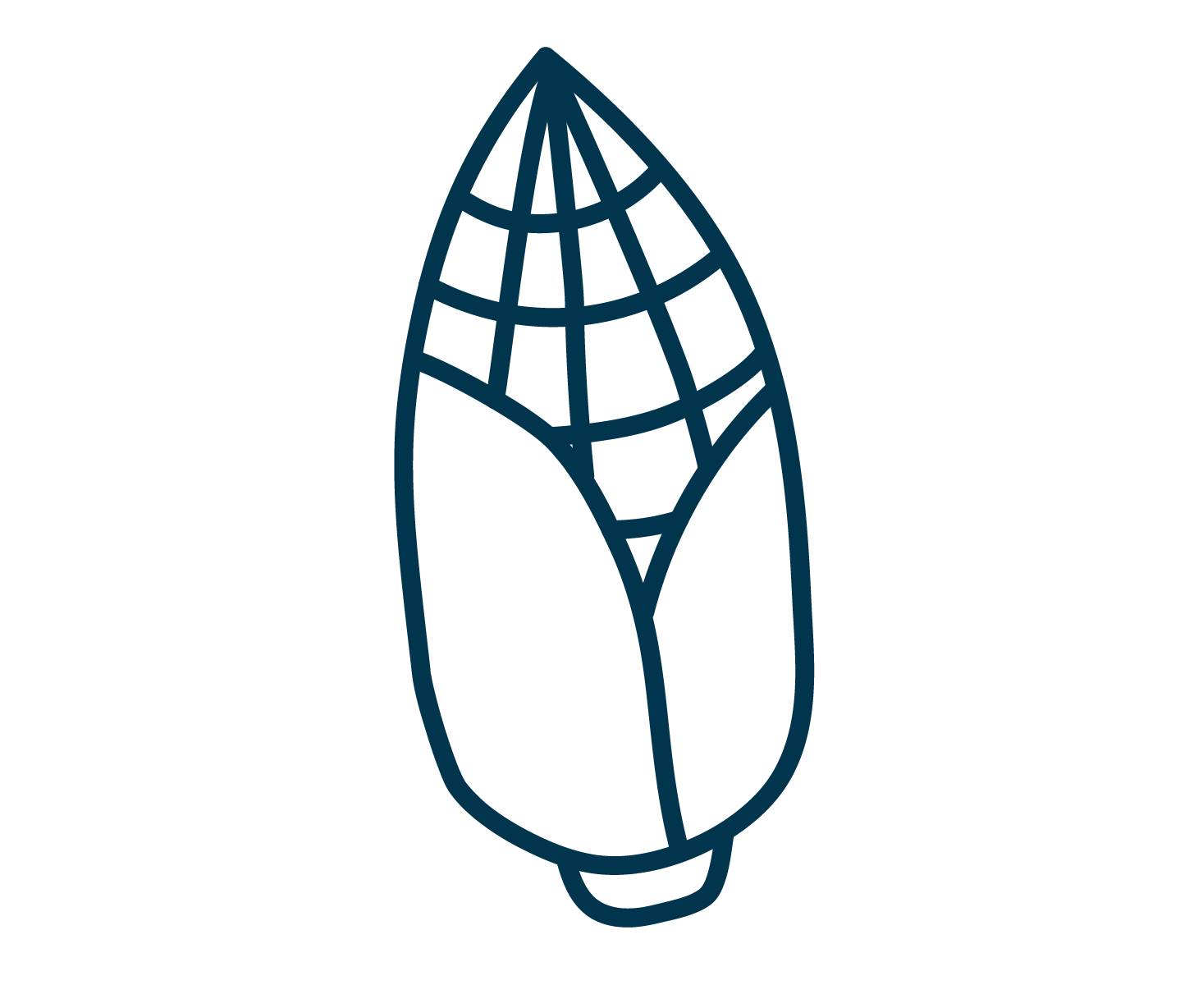 Icon Corn