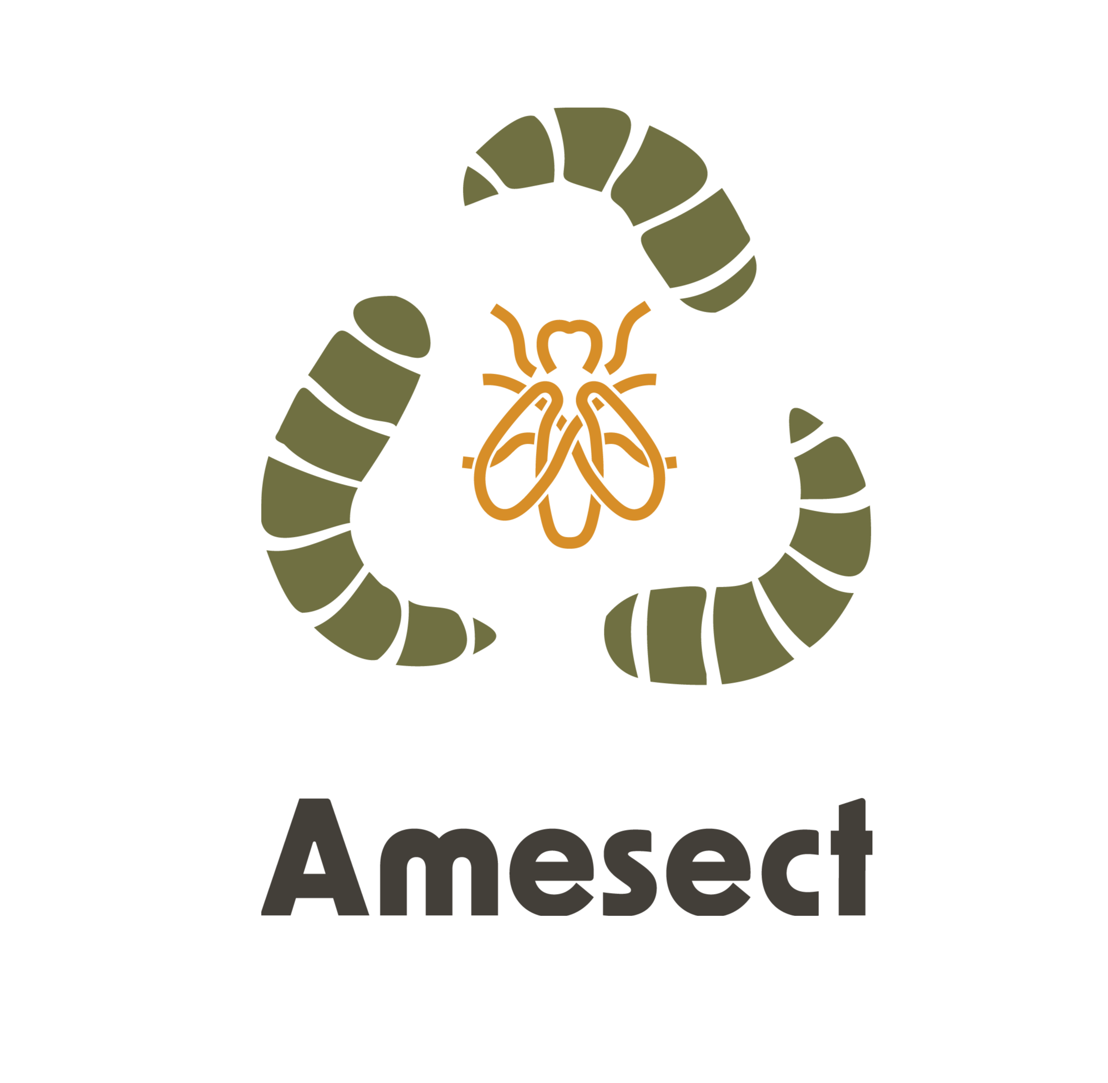 Amesect
