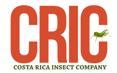 Costa Rica Insect Company