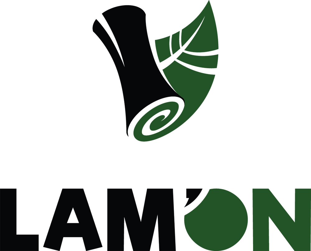 LAM ON logo 1000x810 (2) - Gergana S