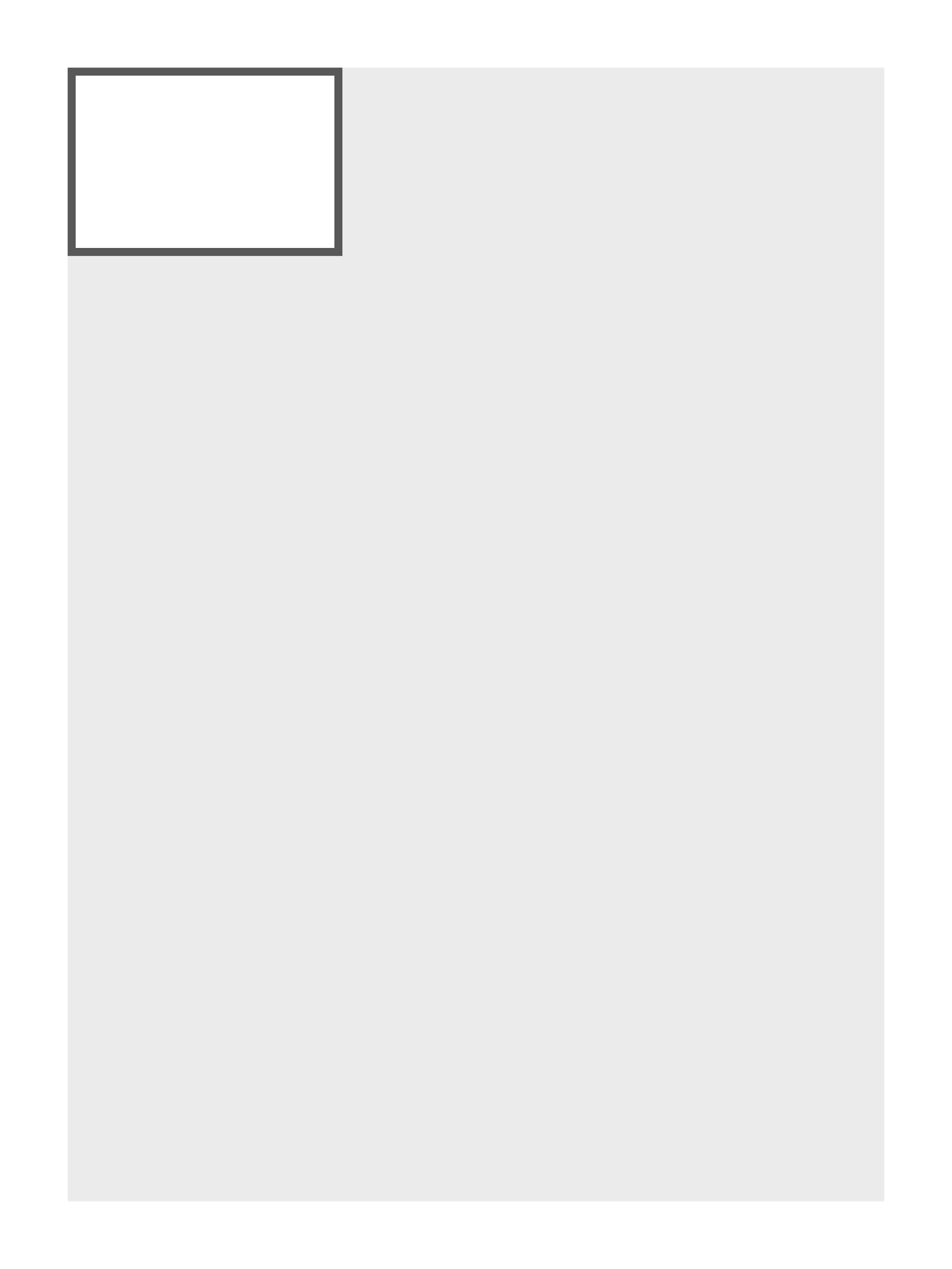 Standaard (85 x 55 mm)