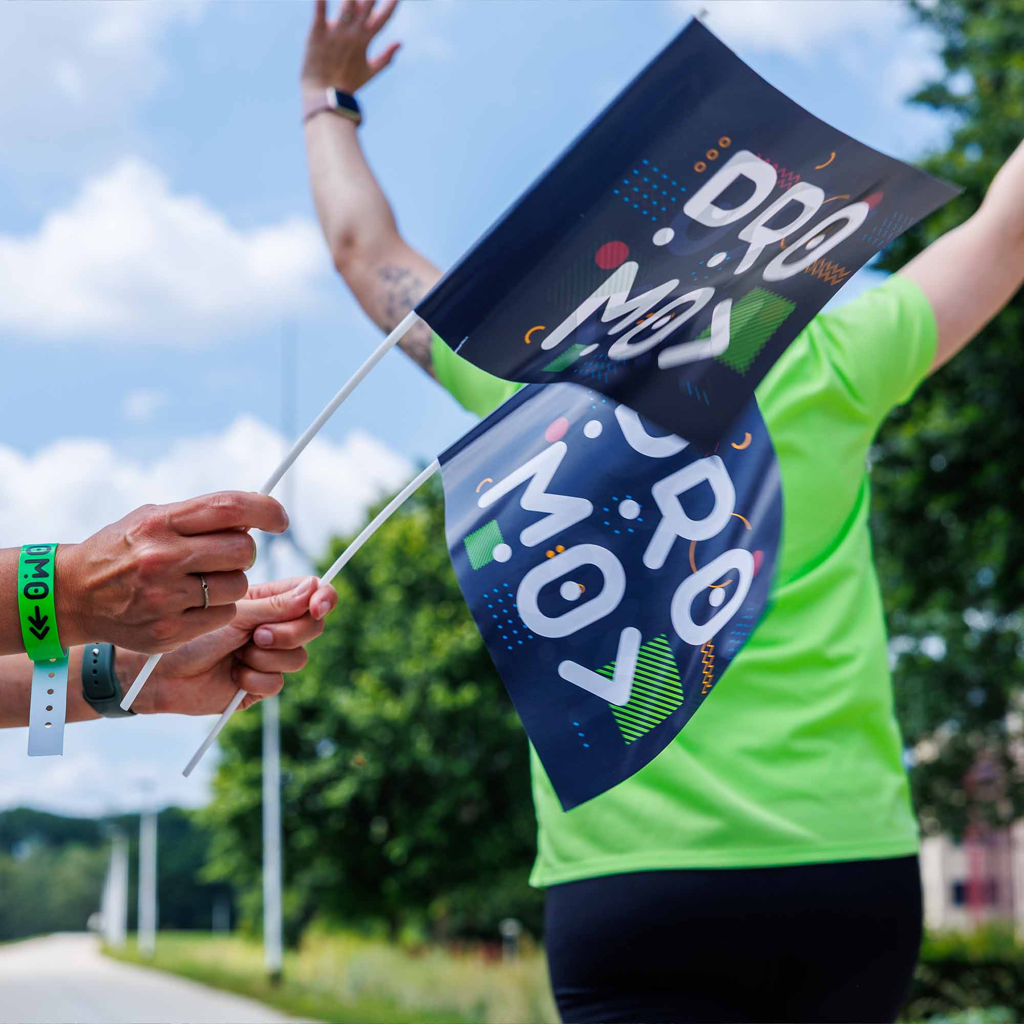 zwaaivlaggetjes-setting1