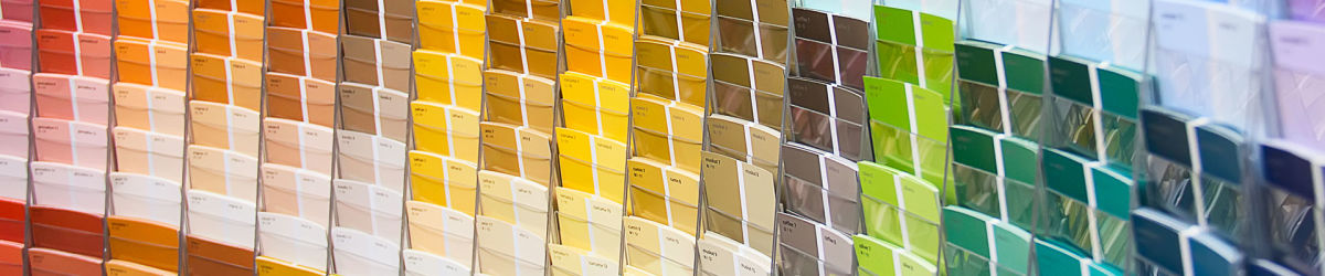 dinsdag Ambassade ontwikkeling Onmisbaar voor elke designer: de Pantone-kleurenwaaier | Drukwerkdeal.nl