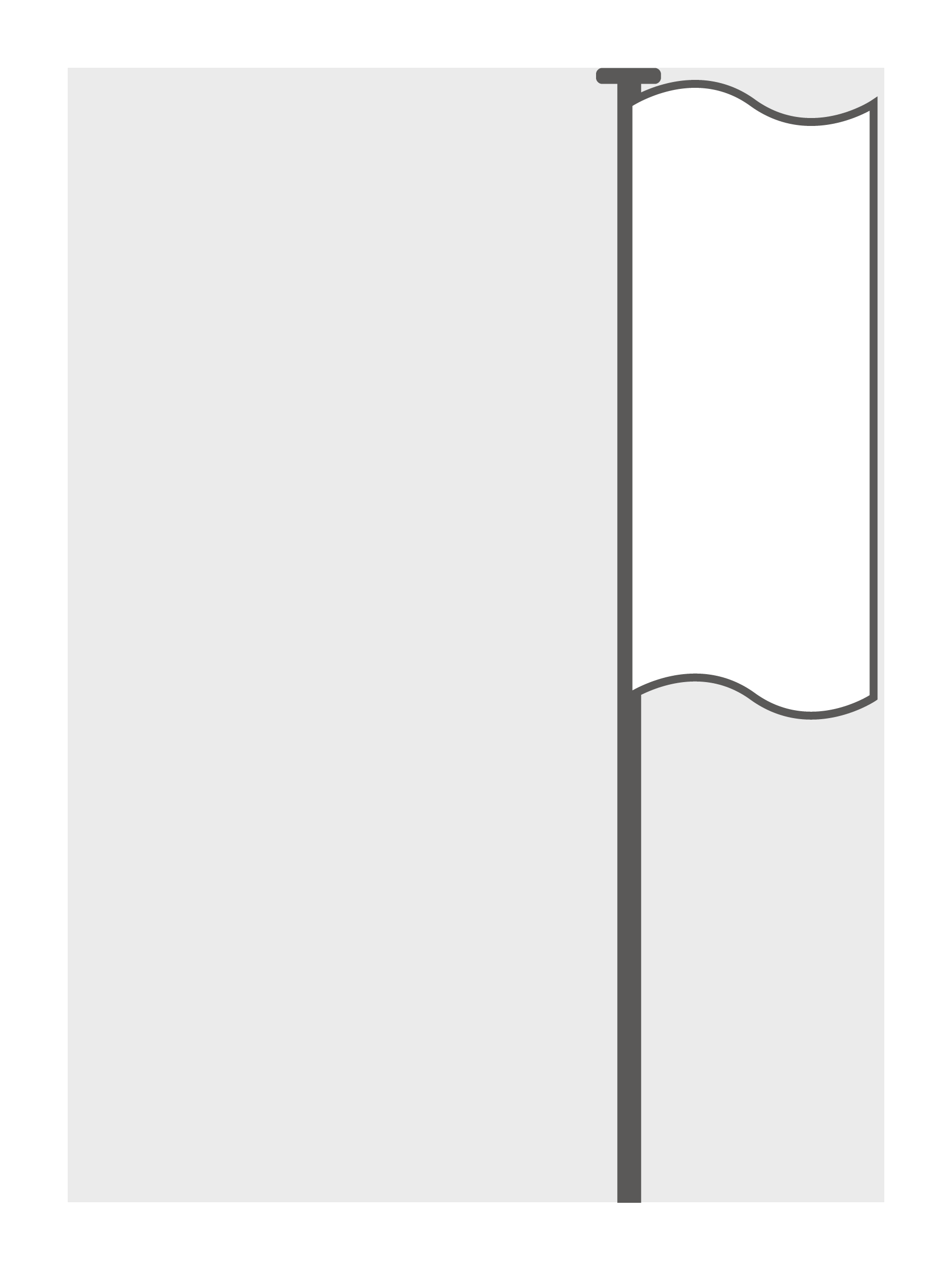 Mastvlag zonder open zoom (100 x 250 cm)