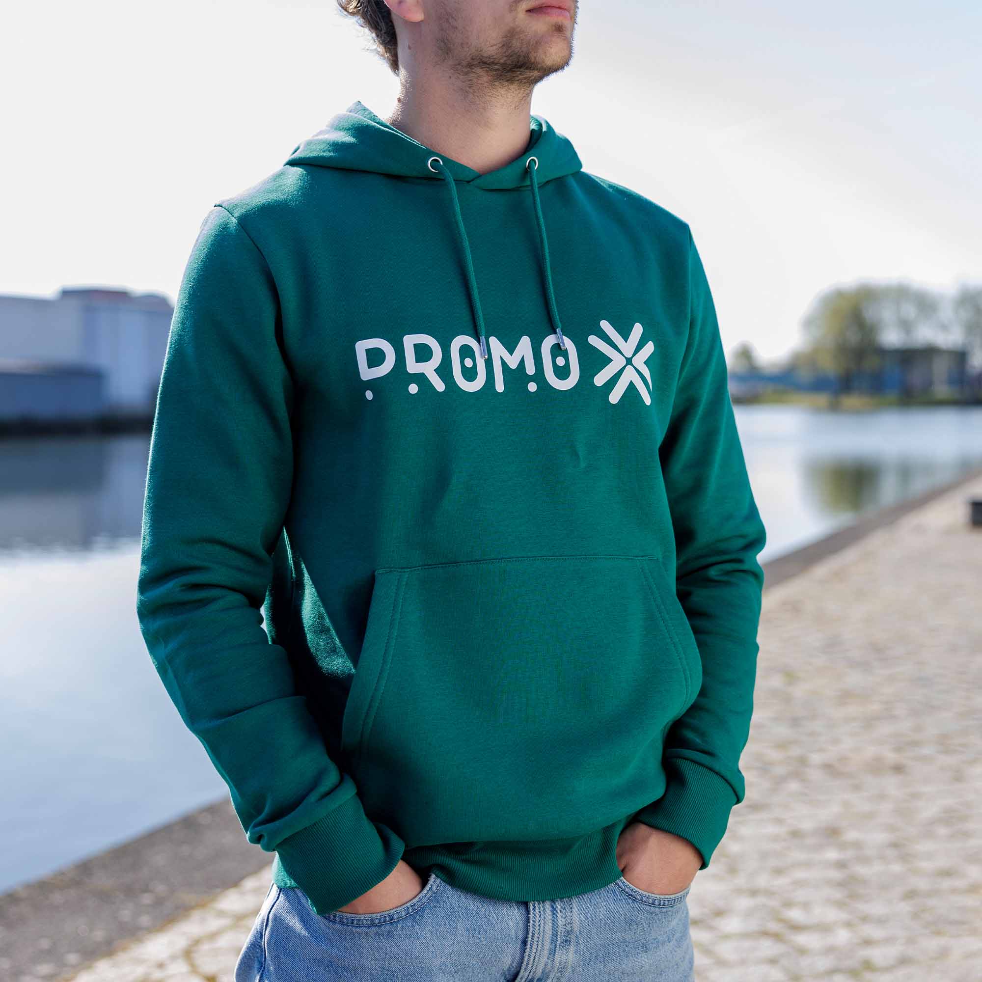Premium-hoodie-setting