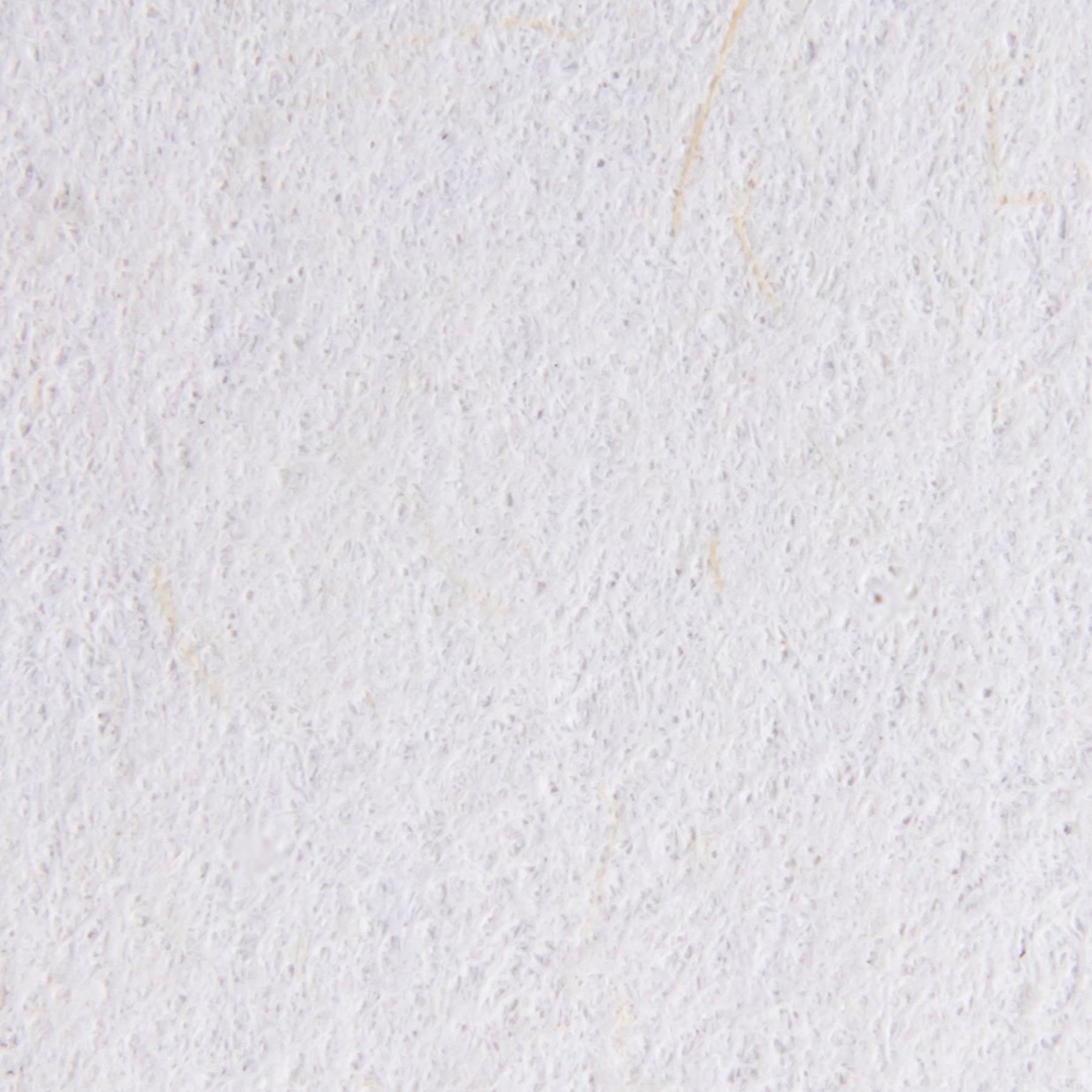 100% recycled papier