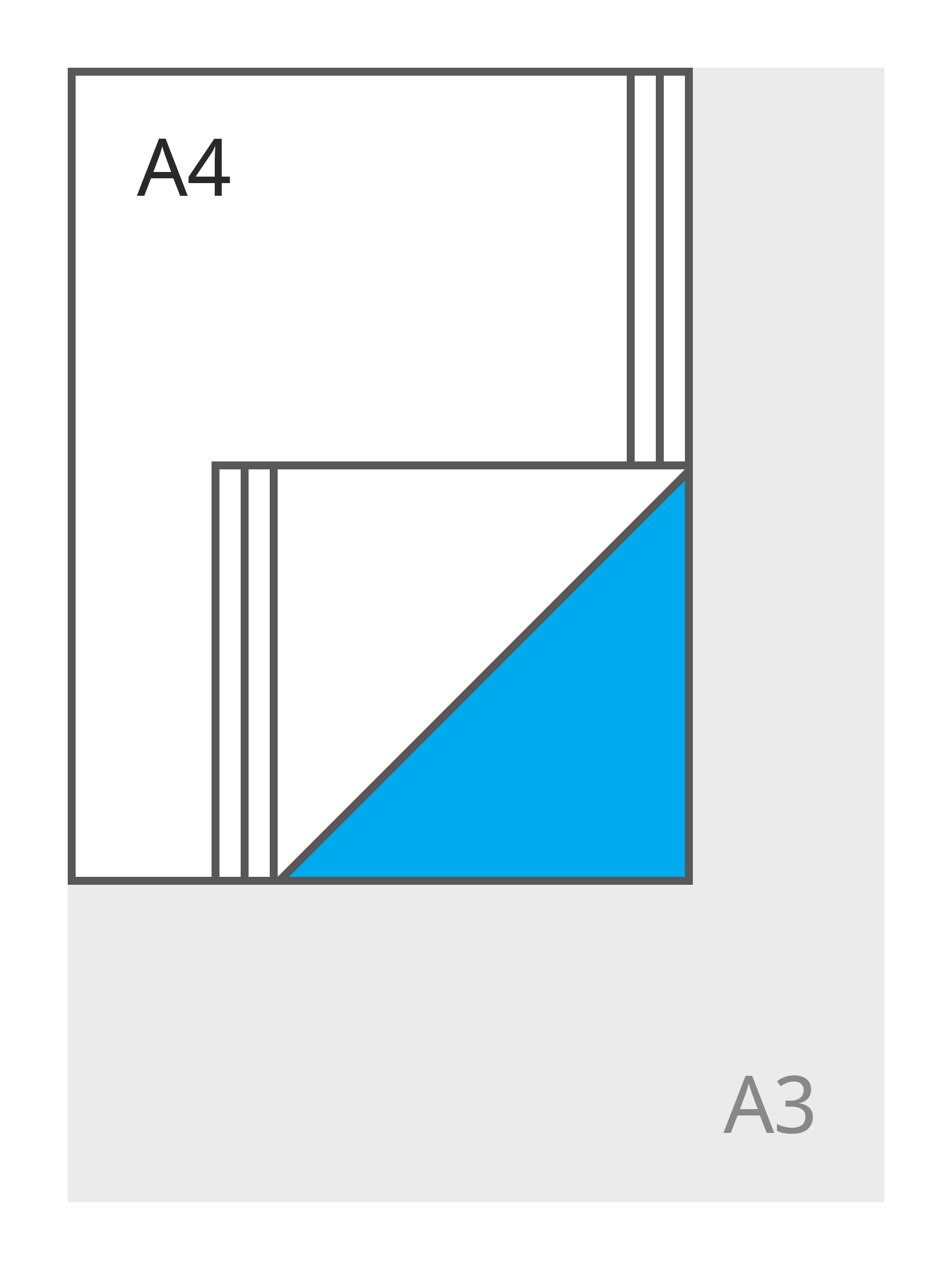 A4 staand (210 x 297 mm)
