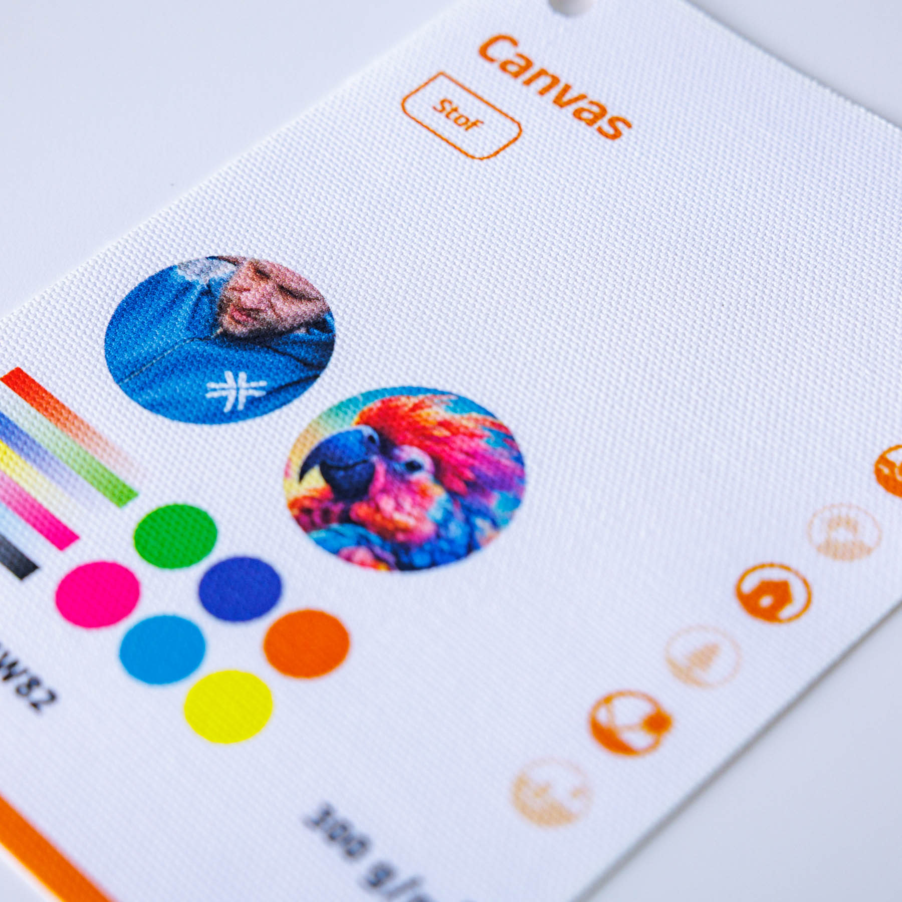 Canvas