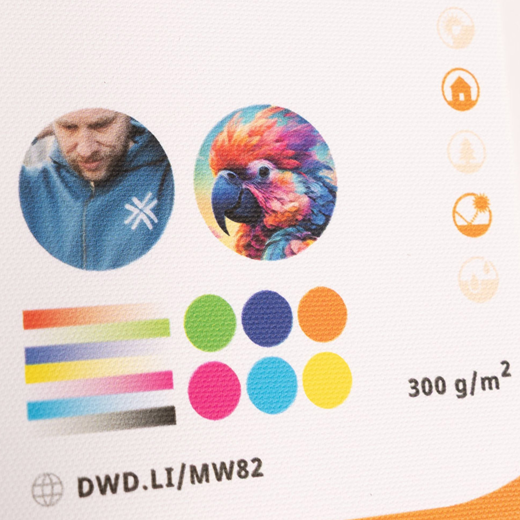 Canvas