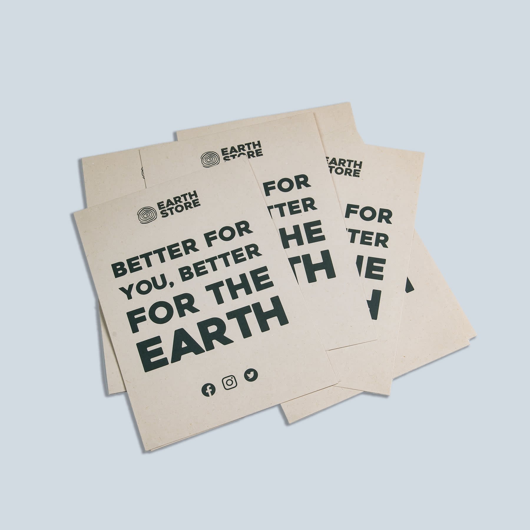 Flyers Earth Store