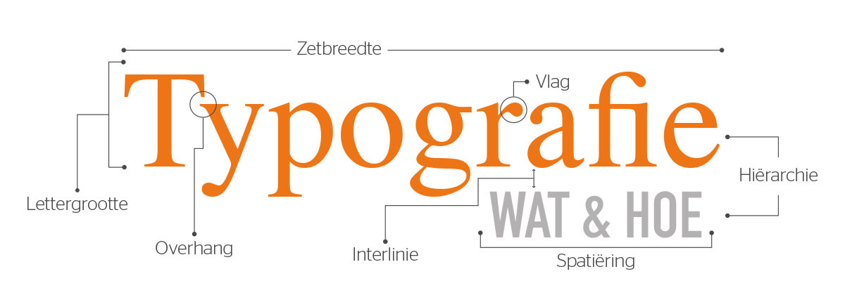 afb fontflipper-anatomie