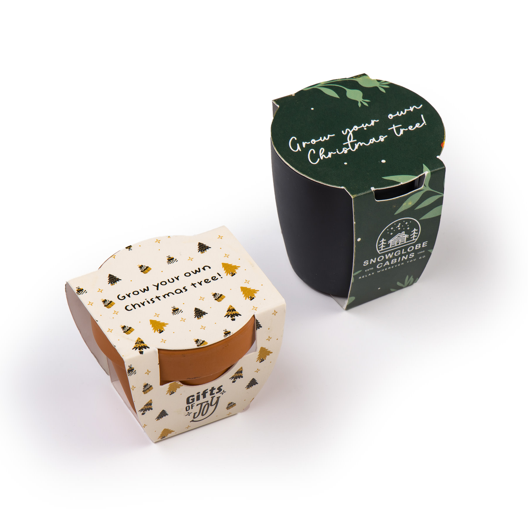 featured kerstboom-kweeksetje wit