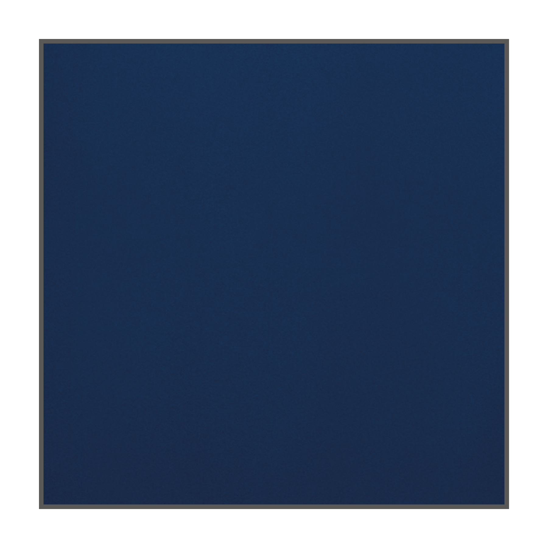 Navy blauw
