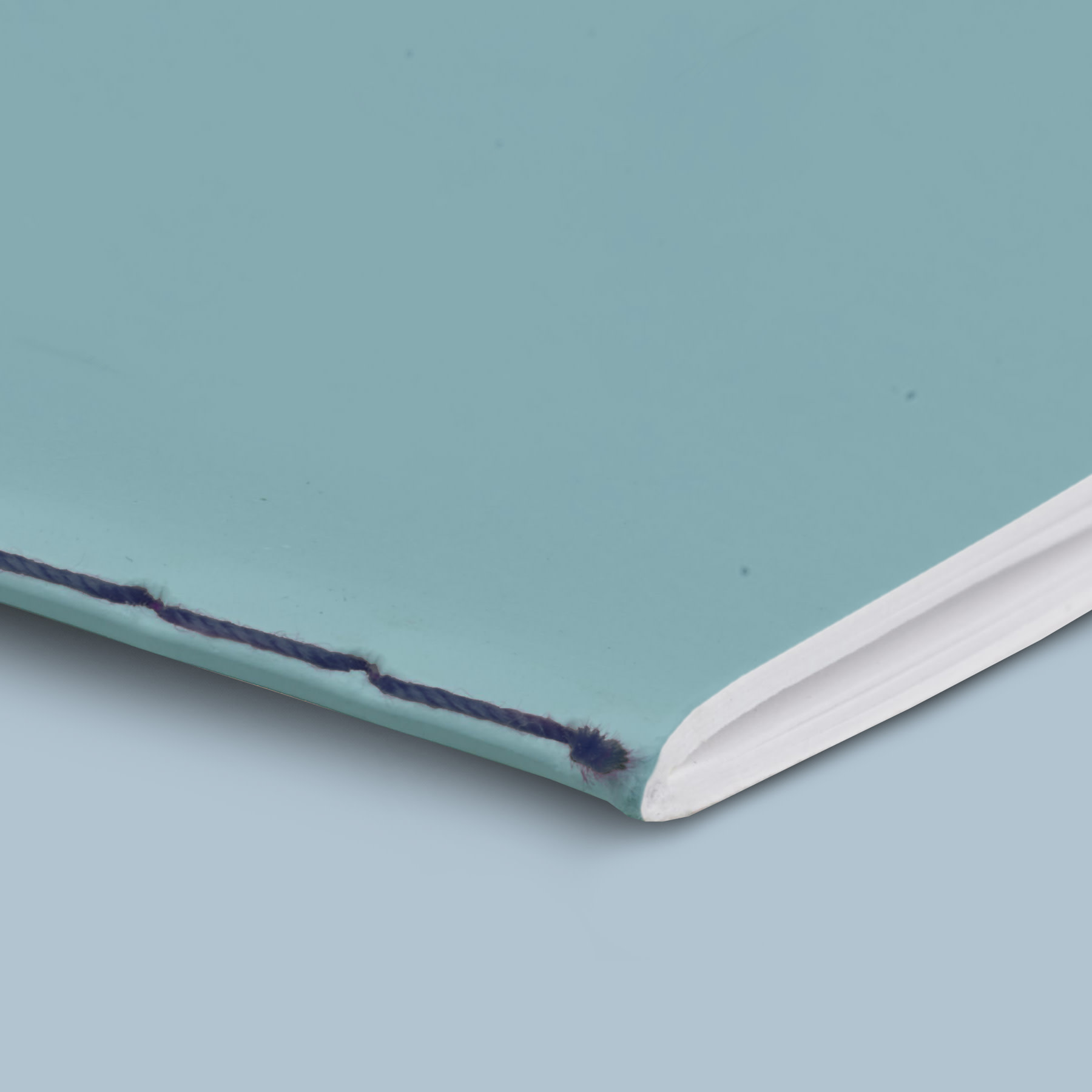 hero-image singersteek