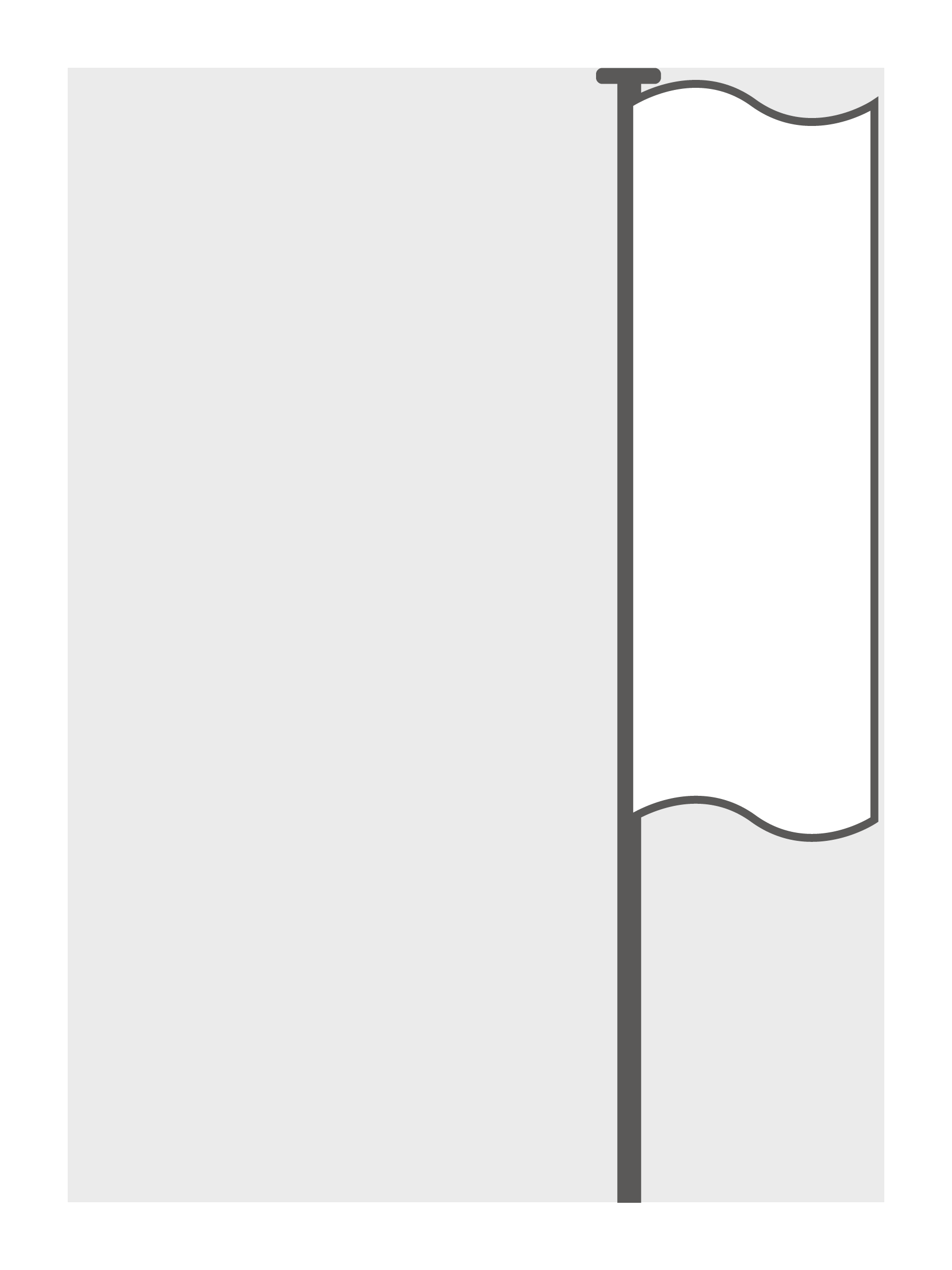 Mastvlag zonder open zoom (100 x 300 cm)