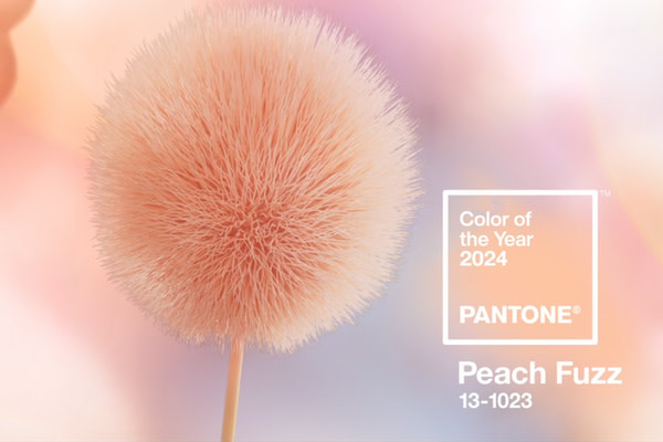 featured-Pantone