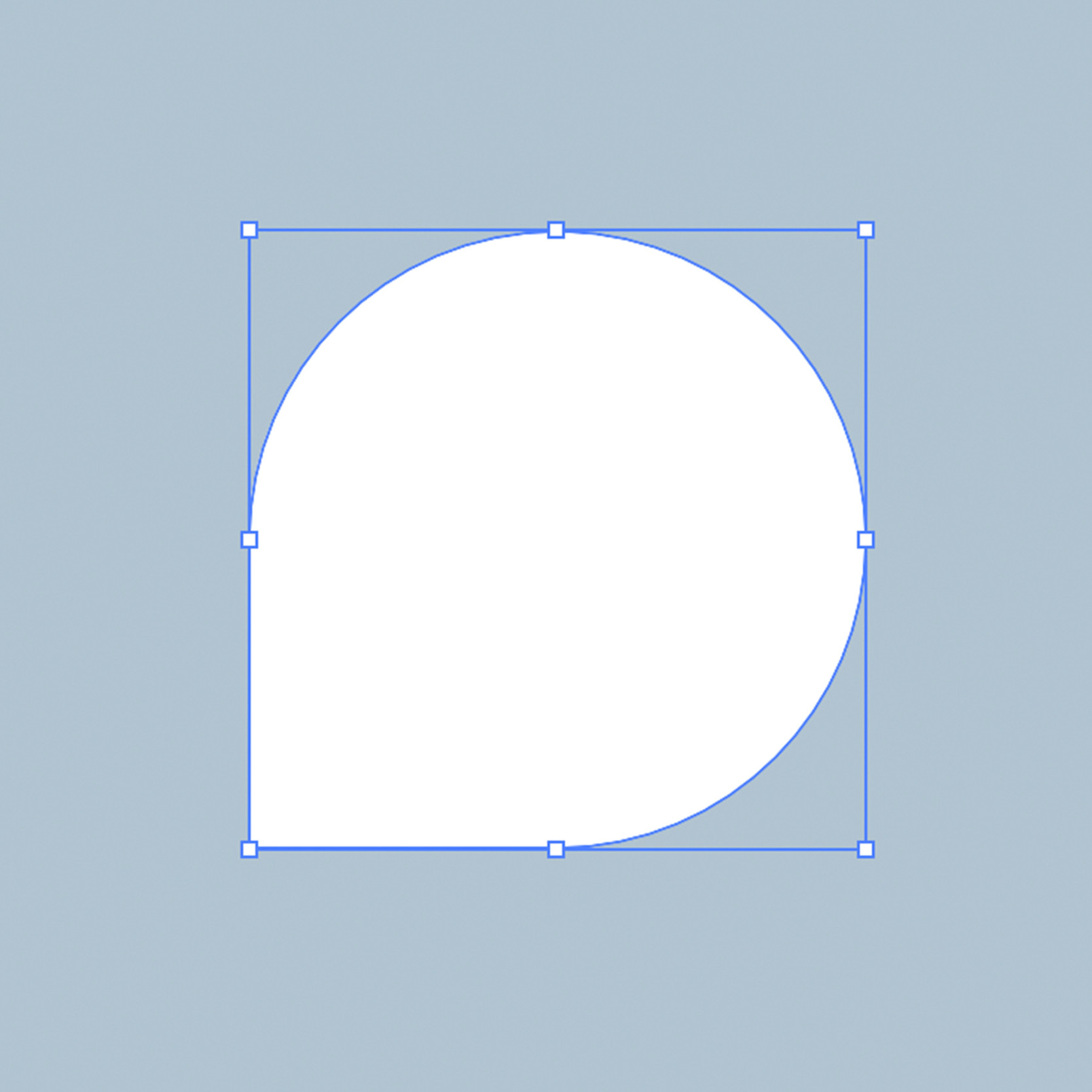 Wat is een Vector bestand? | Drukwerkdeal