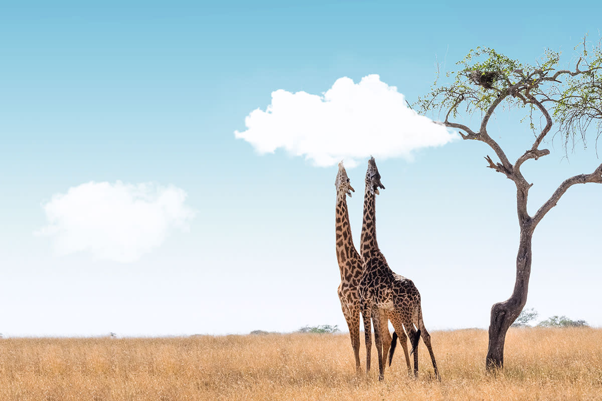 freebiefriyay-31 featured3 v2