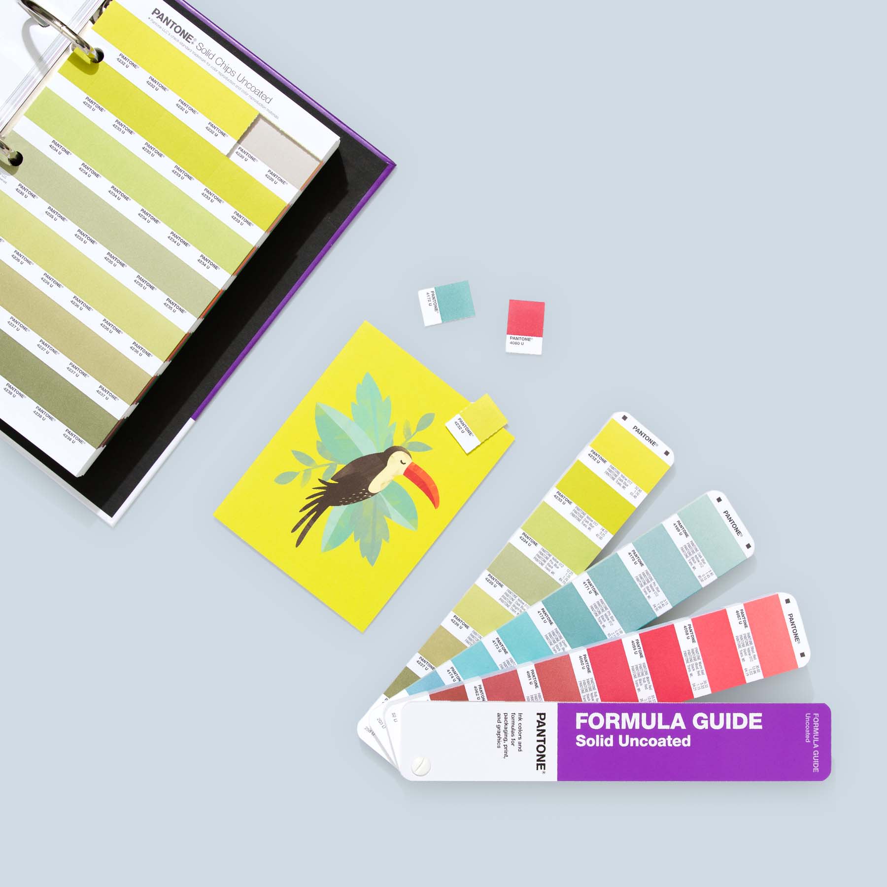 Color Bridge guide coated uncoated gallery 2