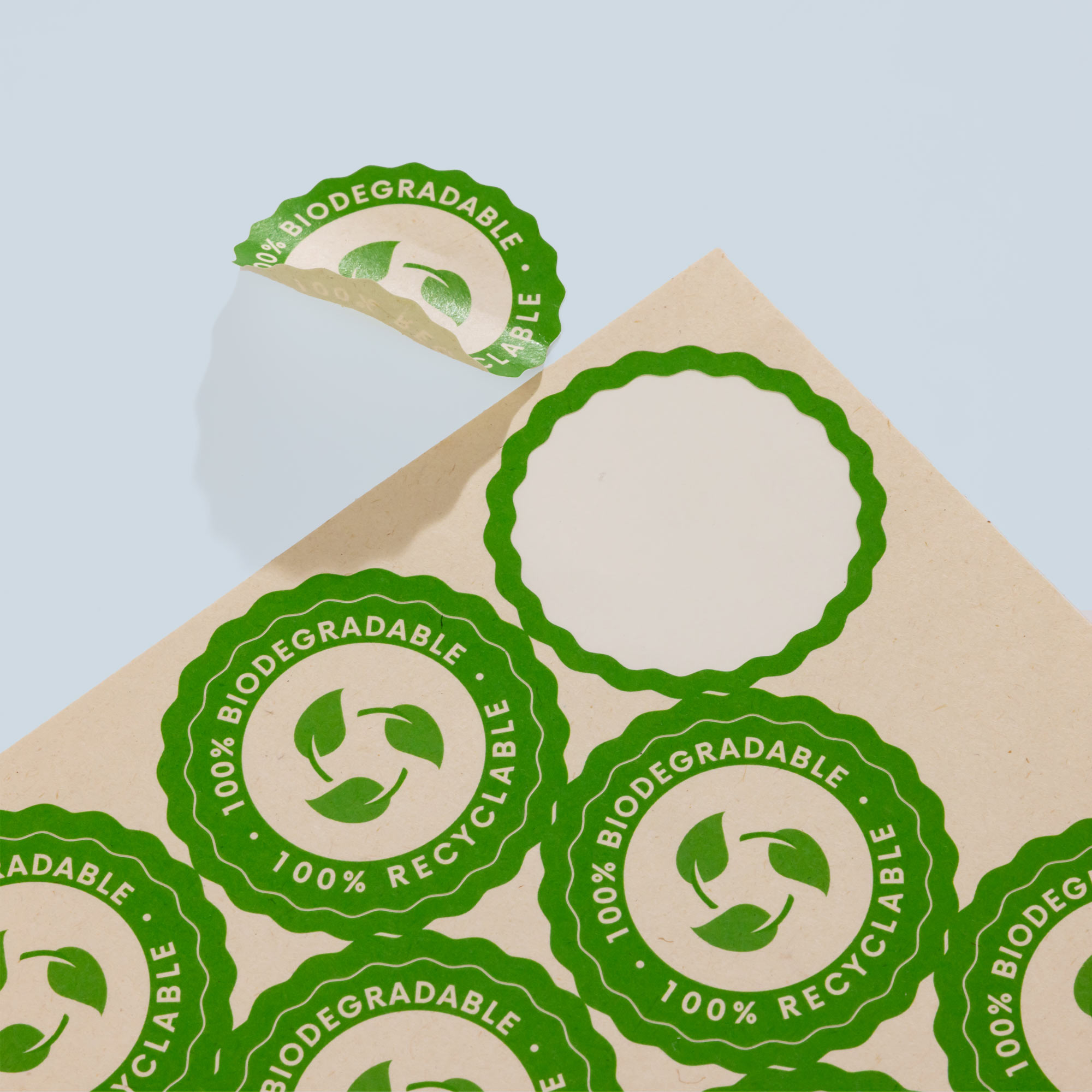 Gallery-biodegradable1