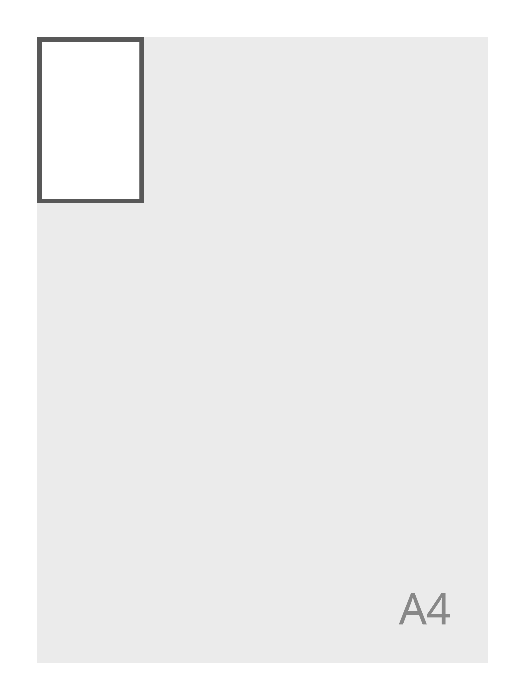 Standaard (55 x 85 mm)