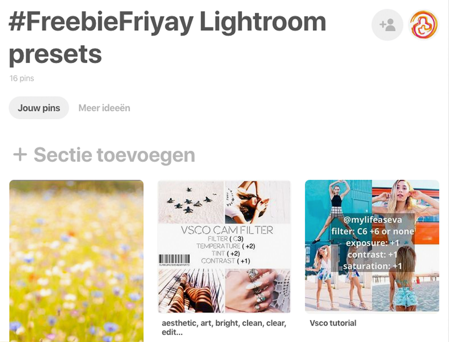 freebiefriyay-week-18 pinterest-lightroom-presets